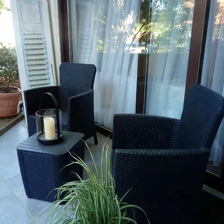 Fewo Constanze Apartment Bad Bergzabern